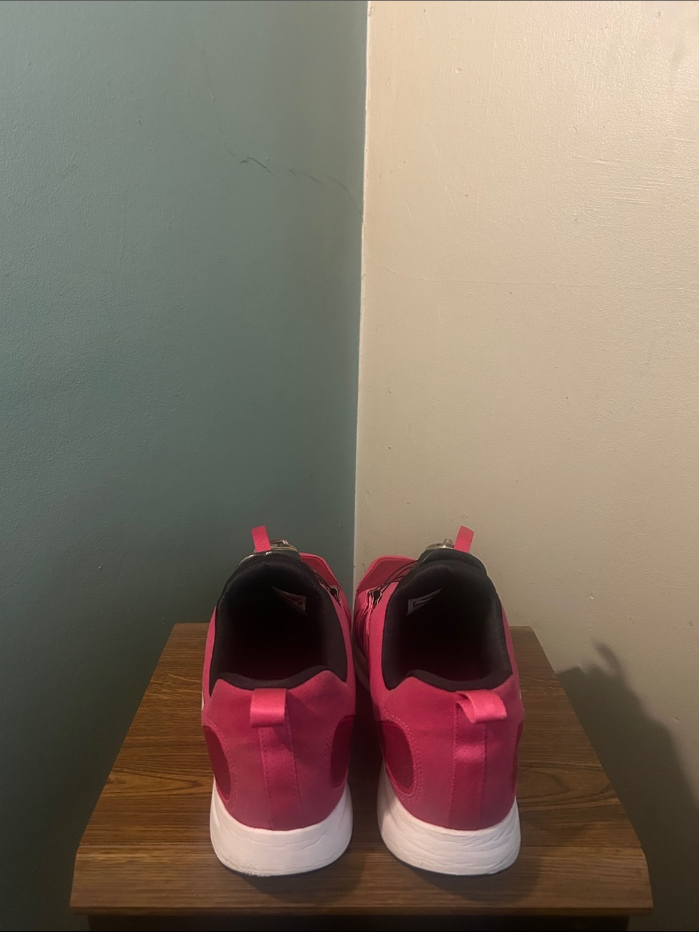 Puma Disc System - Picture 3 of 5